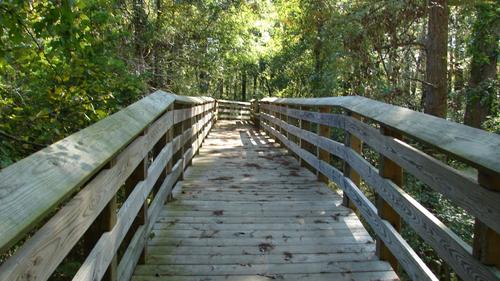 burnside park neshoba county ms