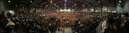 neshoba county coliseum